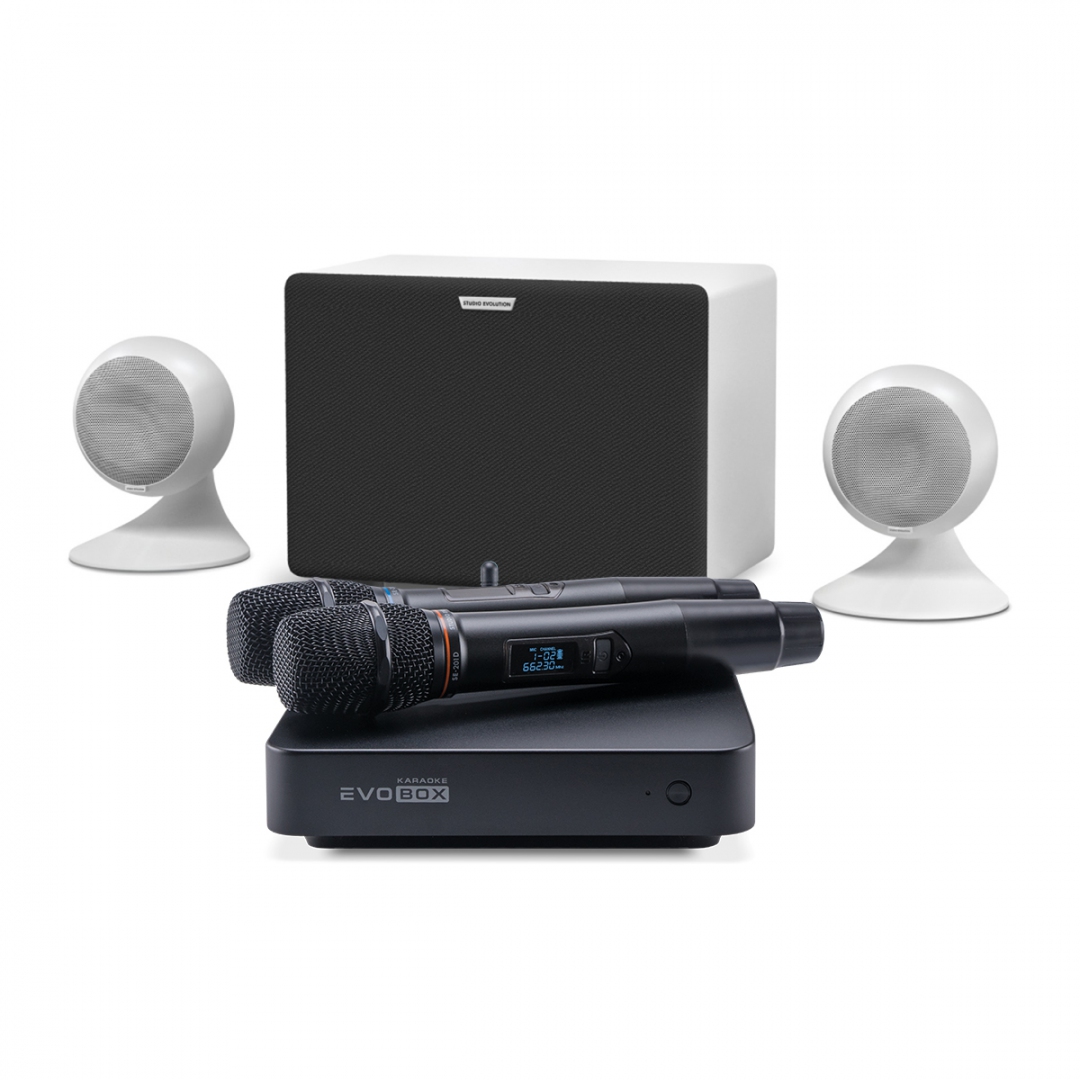 караоке-комплект EVOBOX Classic + EvoSound Sphere 2.1 в Рыбинске