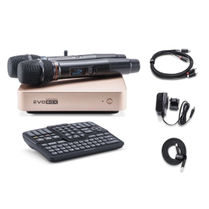 EVOBOX Classic караоке-система для дома в Рыбинске
