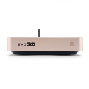 EVOBOX Plus караоке-система для дома в Рыбинске