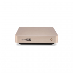 EVOBOX с микрофонами в Рыбинске